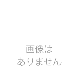 日本物理学会誌 1994/10 第49巻 第10号